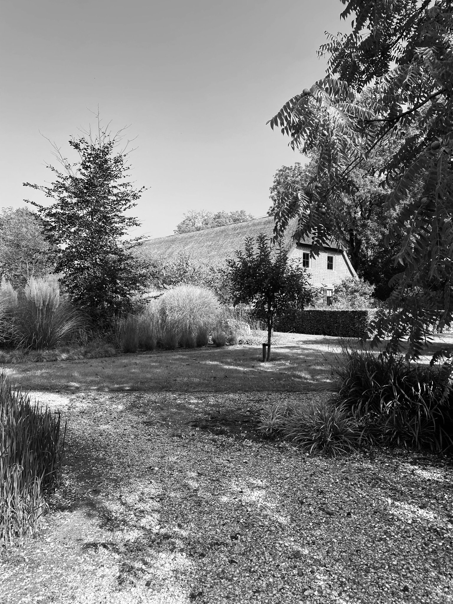 Renovatie boerderij Dwingeloo