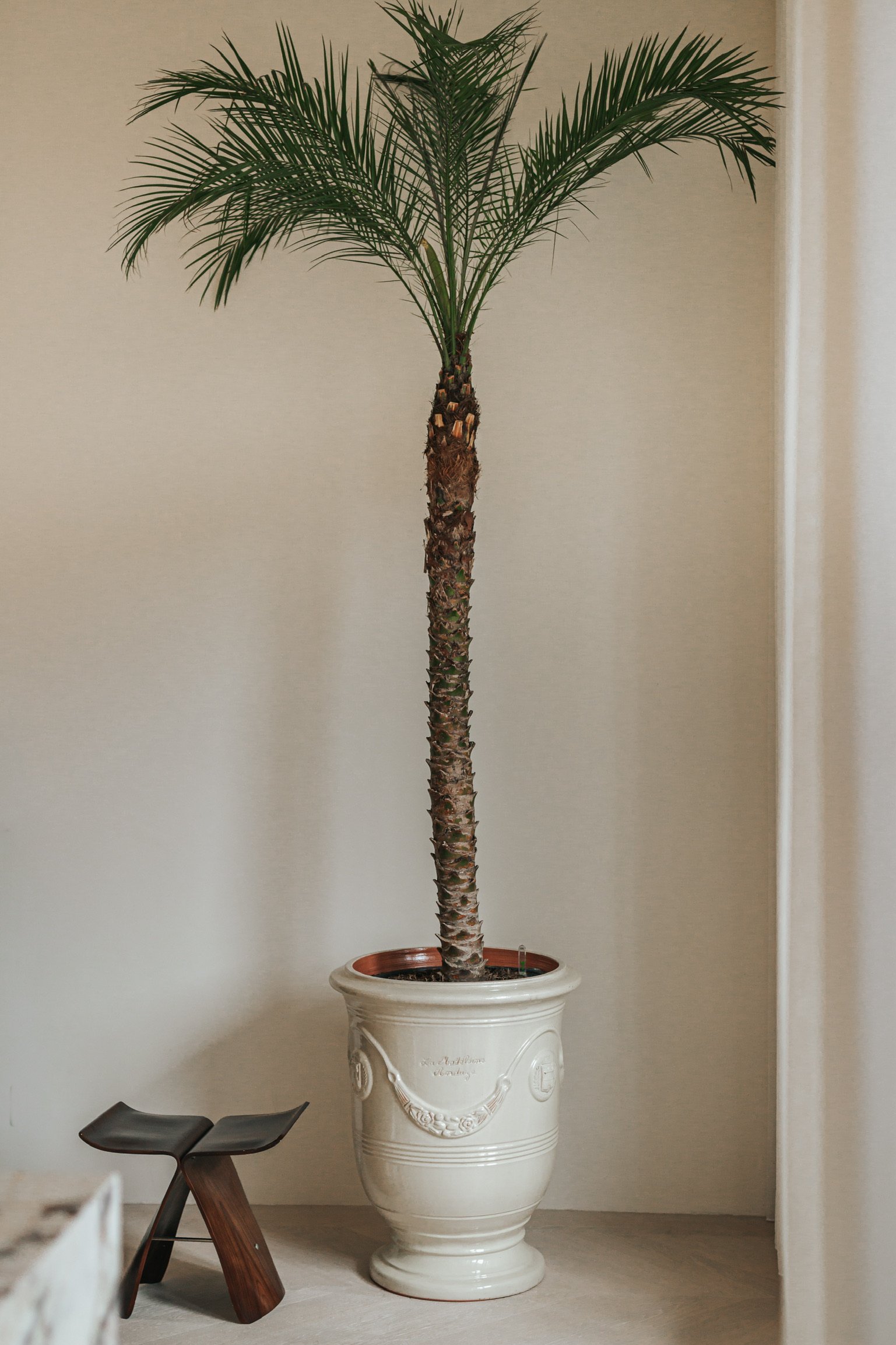 inspiration interior design photo of project of Martje Overmeer Interiors in Amsterdam west
